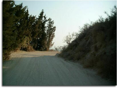 ppcd8b5d1a.jpg